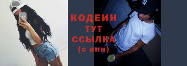 mix Снежногорск