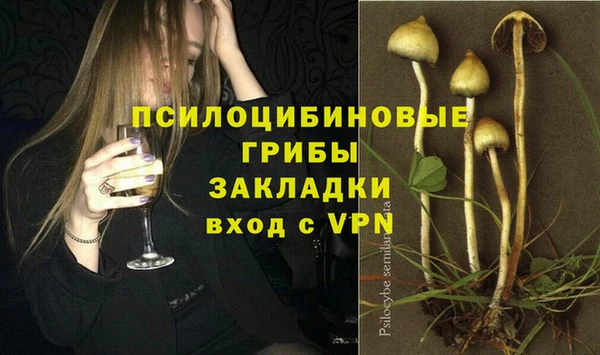 каннабис Новокубанск
