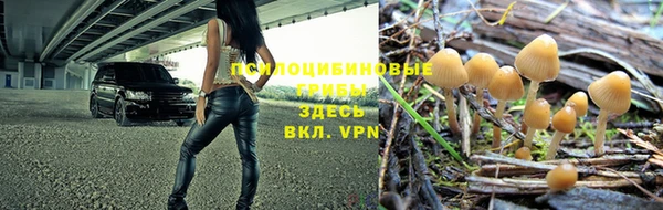 ALPHA PVP Ужур