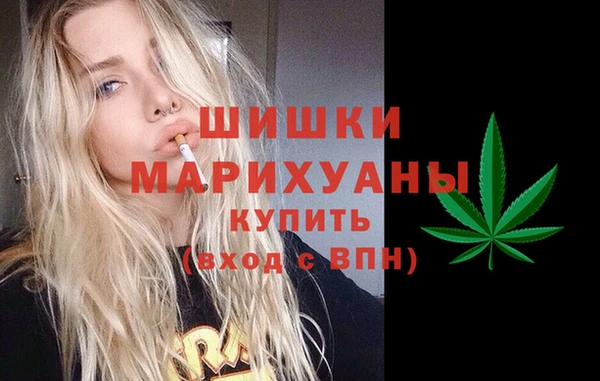 Альфа ПВП Удомля